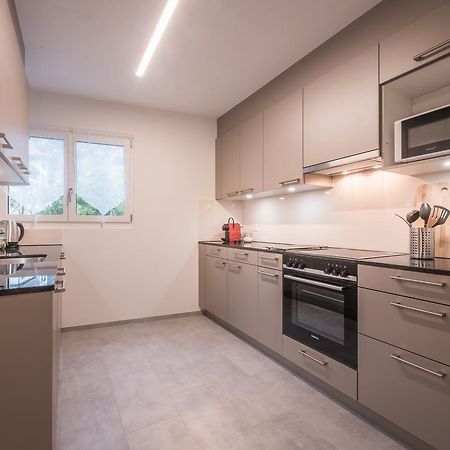 City Center Apartment - Interlaken Ngoại thất bức ảnh